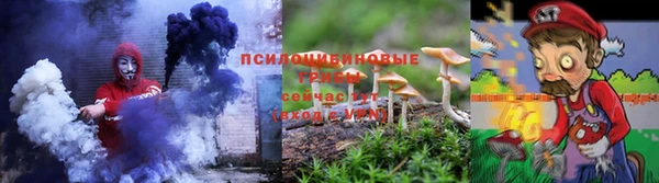 хмурый Мегион