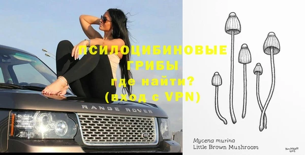 хмурый Мегион