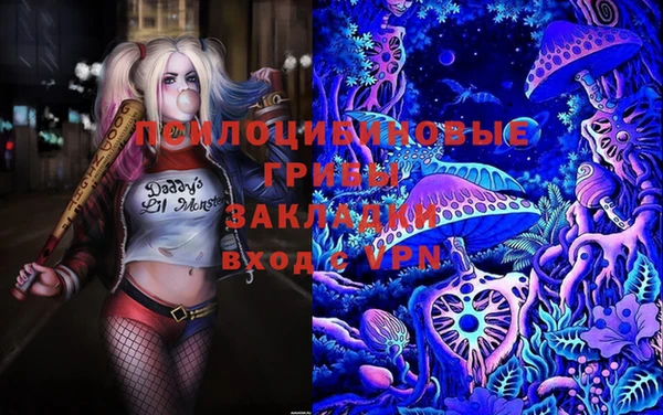 таблы Майский