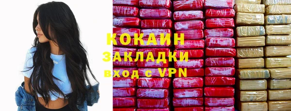 хмурый Мегион