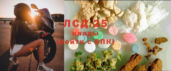 хмурый Мегион