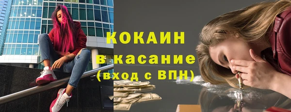 хмурый Мегион