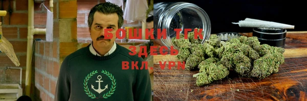 хмурый Мегион