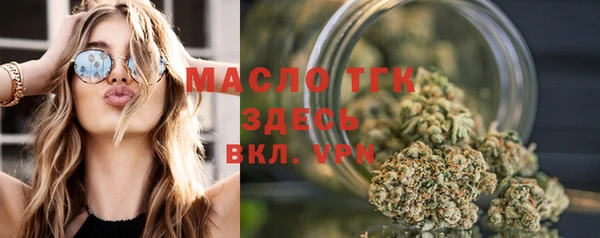 хмурый Мегион